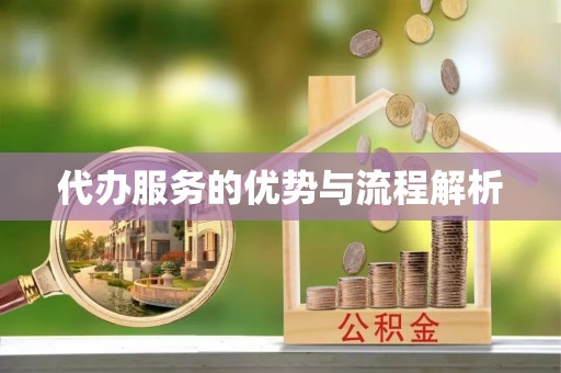 宁远代办服务的优势与流程解析