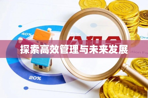 宁远探索高效管理与未来发展