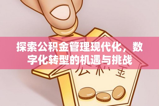 宁远探索公积金管理现代化，数字化转型的机遇与挑战
