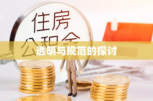 宁远透明与规范的探讨