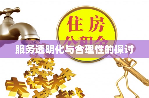 宁远服务透明化与合理性的探讨