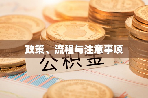 宁远政策、流程与注意事项