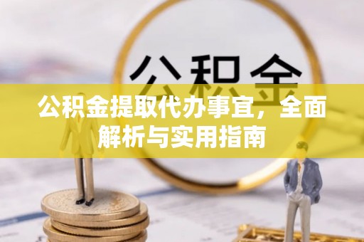 宁远公积金提取代办事宜，全面解析与实用指南