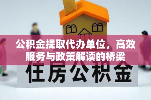宁远公积金提取代办单位，高效服务与政策解读的桥梁