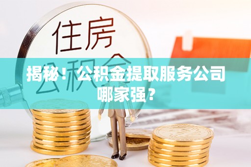 宁远揭秘！公积金提取服务公司哪家强？