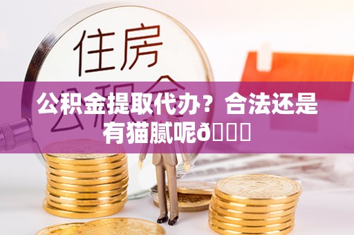 宁远公积金提取代办？合法还是有猫腻呢😏